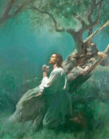 The Miracle of Easter Freedom