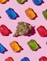 Marijuana Edibles and Kids