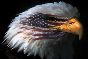 American Eagle 911 American Eagle