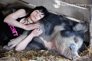 Jett sleeping with pig
