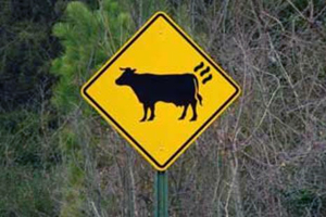 CowGasSign