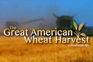 WheatHarvestFilm1