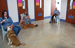 Kennel at Mabel Bassett nears completion | Tulsa Today