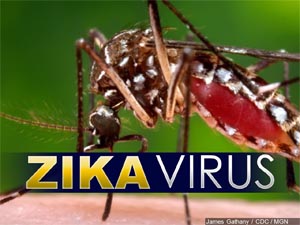 ZikaVirus