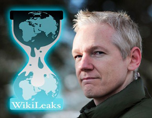 Julian Assange, Wikileaks