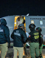 Mexican Cartel Spawn in Custody