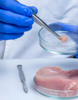 Food Safety Inspection Funds Increase