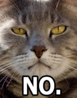 Stovall: The Power of No