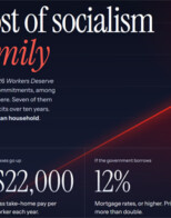 Economic Advisers: DSA Policy Cost