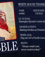 Voting National Turkey Fun Today